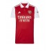 Cheap Arsenal Gabriel Jesus #9 Home Football Shirt 2022-23 Short Sleeve